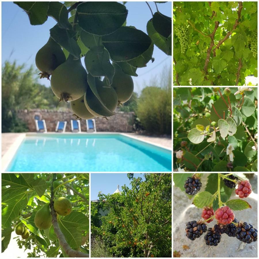 Trulli Aurasia ออสตูนี ภายนอก รูปภาพ